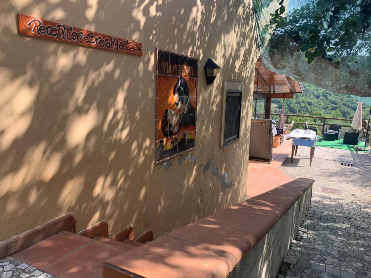 Agriturismo B&B Il Rifugio Di Nino Контурси Екстериор снимка